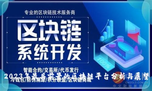 2023年最具前景的区块链平台分析与展望