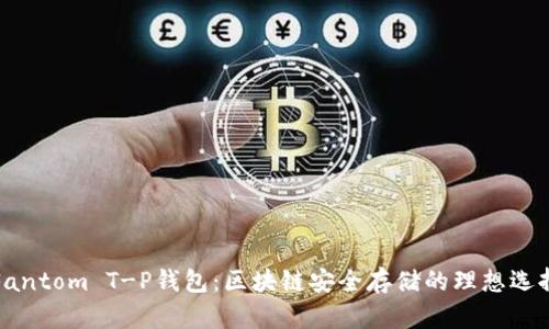 Fantom T-P钱包：区块链安全存储的理想选择