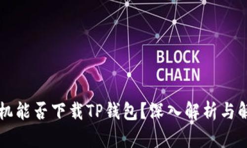 苹果手机能否下载TP钱包？深入解析与解决方案