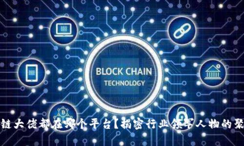 区块链大佬都在哪个平台？揭密行业领军人物的聚集地