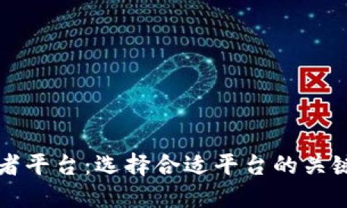 区块链开发者平台：选择合适平台的关键考量与优势