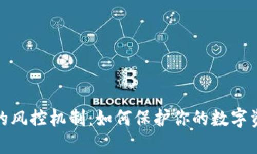 TP钱包的风控机制：如何保护你的数字资产安全