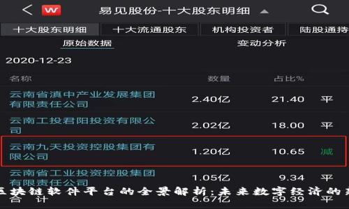 湖南区块链软件平台的全景解析：未来数字经济的新引擎