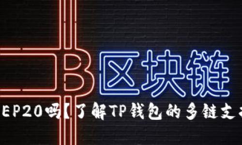 TP钱包支持BEP20吗？了解TP钱包的多链支持与使用指南