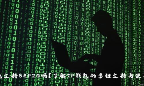 TP钱包支持BEP20吗？了解TP钱包的多链支持与使用指南