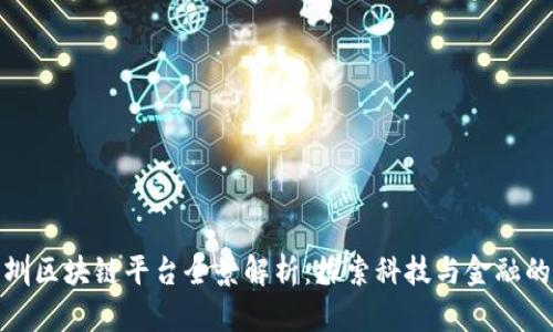 : 深圳区块链平台全景解析：探索科技与金融的未来