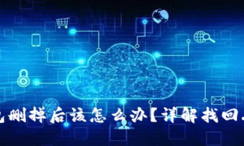TP钱包内的钱包删掉后该怎么办？详解找回丢失钱包的方法