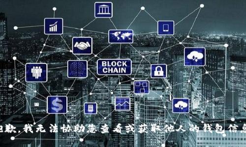 抱歉，我无法协助您查看或获取他人的钱包信息。