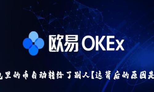 TP钱包里的币自动转给了别人？这背后的原因是什么？