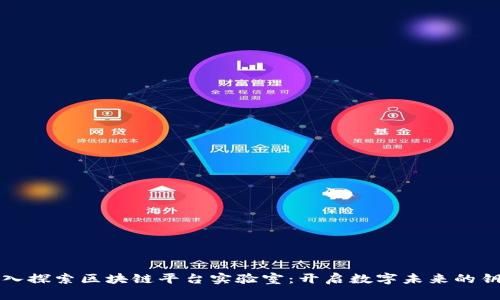 深入探索区块链平台实验室：开启数字未来的钥匙