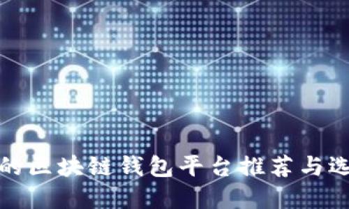 最安全的区块链钱包平台推荐与选择指南
