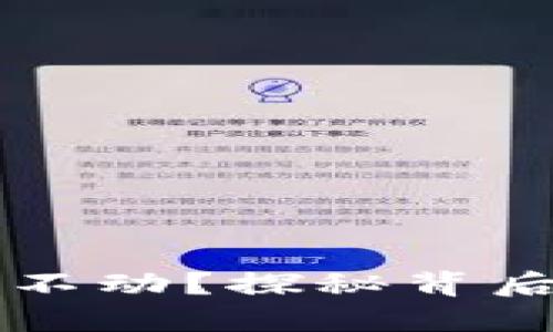 为什么TP钱包金额不动？探秘背后的原因与解决方案