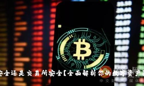 TP钱包安全还是交易所安全？全面解析你的数字资产防护选择