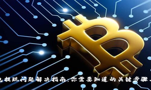 TP钱包提现问题解决指南：你需要知道的关键步骤与技巧