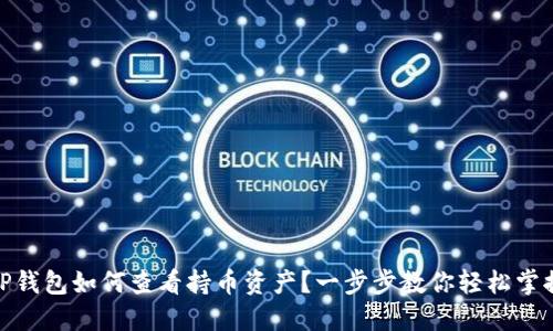 TP钱包如何查看持币资产？一步步教你轻松掌握