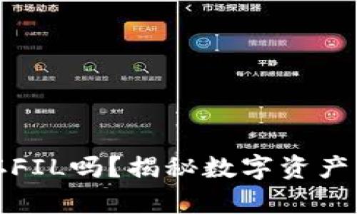 TP钱包可以储存FIL吗？揭秘数字资产管理的最佳选择