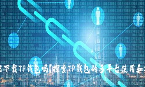 电脑能下载TP钱包吗？探索TP钱包的多平台使用和安全性
