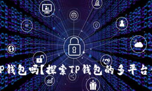 电脑能下载TP钱包吗？探索TP钱包的多平台使用和安全性