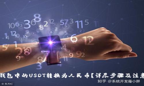 如何将TP钱包中的USDT转换为人民币？详尽步骤及注意事项解析