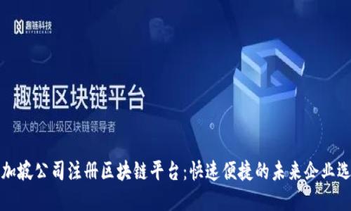 新加坡公司注册区块链平台：快速便捷的未来企业选择