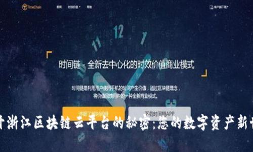 揭开浙江区块链云平台的秘密：您的数字资产新世界