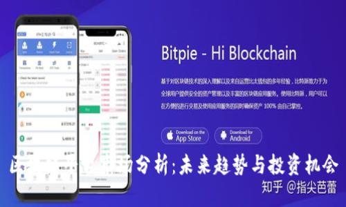 区块链平台市场分析：未来趋势与投资机会