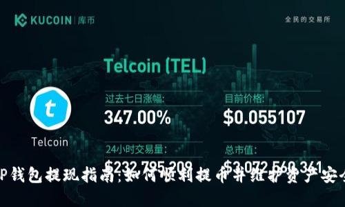 TP钱包提现指南：如何顺利提币并维护资产安全