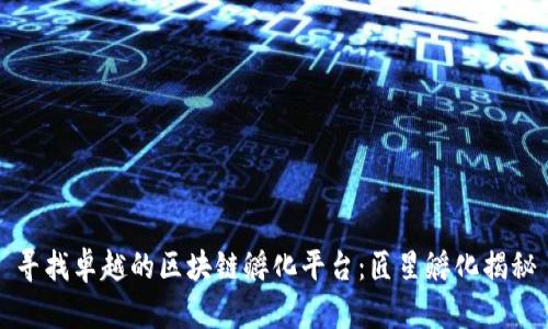 寻找卓越的区块链孵化平台：匠星孵化揭秘