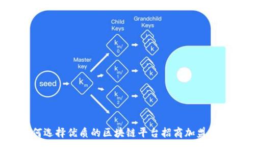 如何选择优质的区块链平台招商加盟项目？