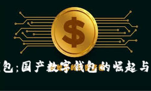 TP钱包：国产数字钱包的崛起与前景
