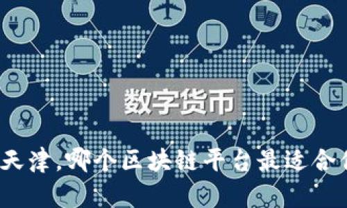 在天津，哪个区块链平台最适合你？