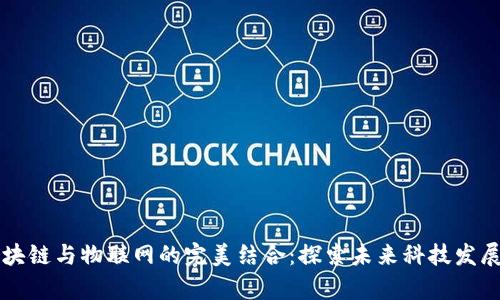 中国区块链与物联网的完美结合：探索未来科技发展新前沿