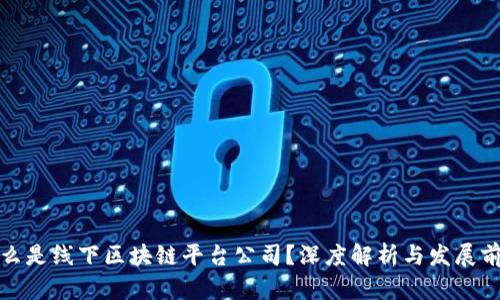 什么是线下区块链平台公司？深度解析与发展前景