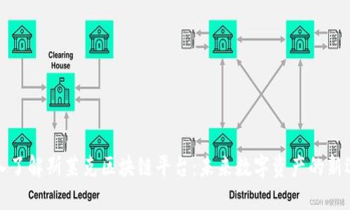 深入了解斯莱克区块链平台：未来数字资产的新选择