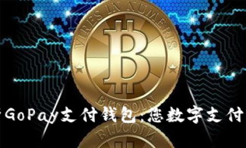 全面解析GoPay支付钱包：您数字支付的新选择
