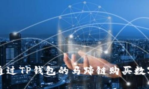如何通过TP钱包的马蹄链购买数字货币