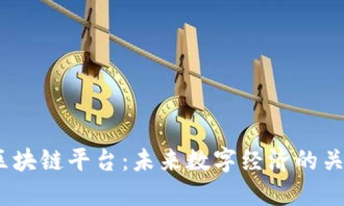 5GH 区块链平台：未来数字经济的关键驱动