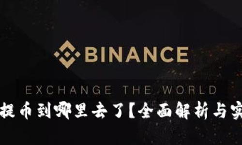 TP钱包提币到哪里去了？全面解析与实用指南