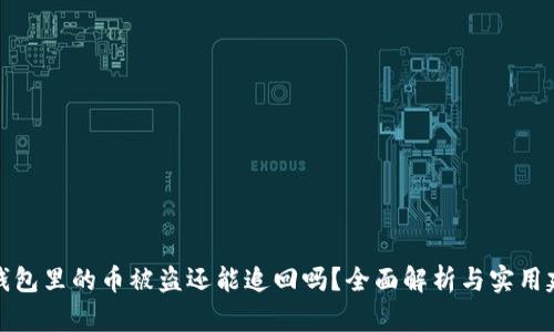 TP钱包里的币被盗还能追回吗？全面解析与实用建议