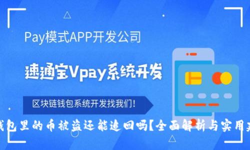TP钱包里的币被盗还能追回吗？全面解析与实用建议