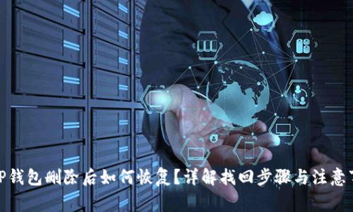 : TP钱包删除后如何恢复？详解找回步骤与注意事项