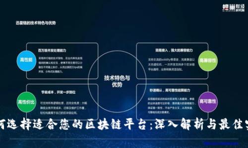 如何选择适合您的区块链平台：深入解析与最佳实践