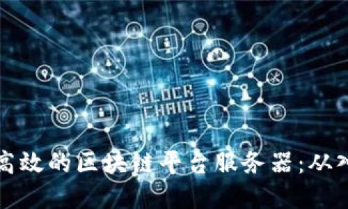 如何搭建高效的区块链平台服务器：从入门到实践