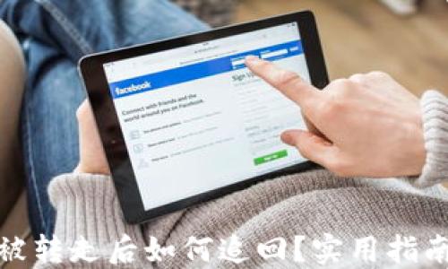 
TP钱包被转走后如何追回？实用指南与建议
