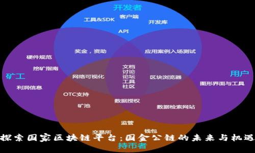 探索国家区块链平台：国金公链的未来与机遇