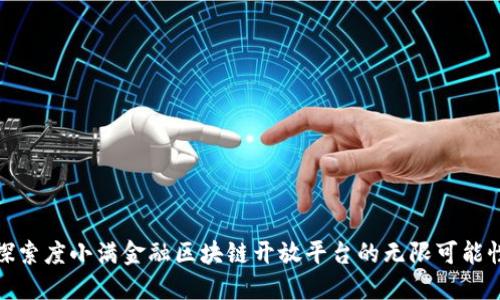 探索度小满金融区块链开放平台的无限可能性