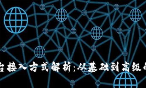 区块链平台接入方式解析：从基础到高级的完美指南