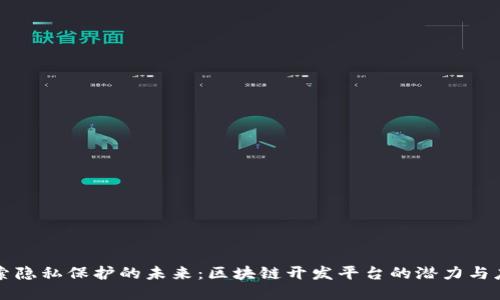 探索隐私保护的未来：区块链开发平台的潜力与应用