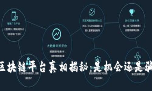 BG区块链平台真相揭秘：是机会还是骗局？