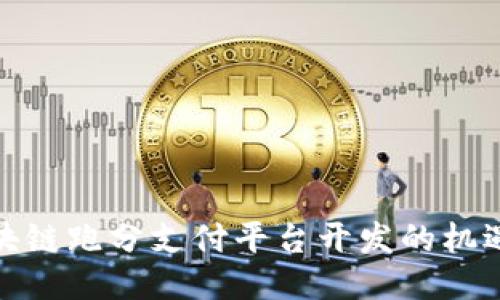 探索区块链跑分支付平台开发的机遇与挑战